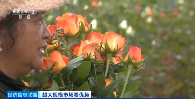 Im（中国体育）：世界之最！这个超大规模市场加速狂飙→(图2)