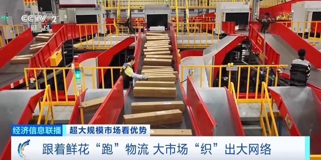 Im（中国体育）：世界之最！这个超大规模市场加速狂飙→(图5)