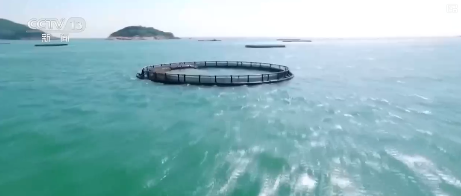 海洋场景开放从“点”到“面”多点开花海洋产业成为彰显我国国际竞争力重要领域(图4)