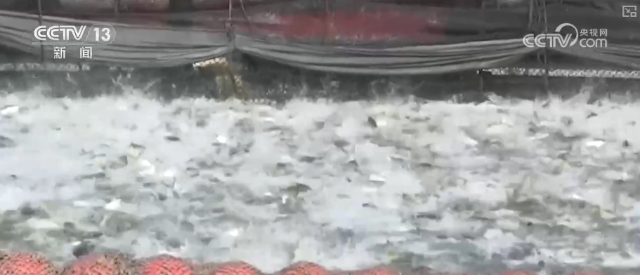 海洋场景开放从“点”到“面”多点开花海洋产业成为彰显我国国际竞争力重要领域(图1)