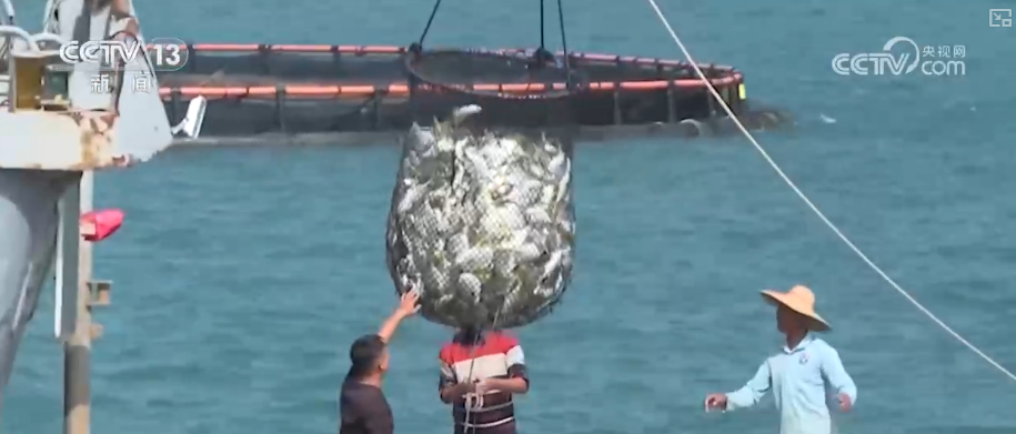 海洋场景开放从“点”到“面”多点开花海洋产业成为彰显我国国际竞争力重要领域(图2)