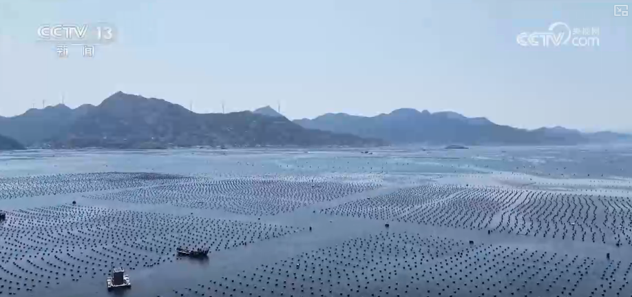 海洋场景开放从“点”到“面”多点开花海洋产业成为彰显我国国际竞争力重要领域(图11)