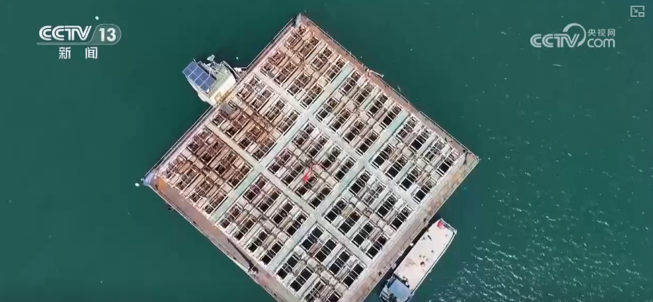 海洋场景开放从“点”到“面”多点开花海洋产业成为彰显我国国际竞争力重要领域(图10)