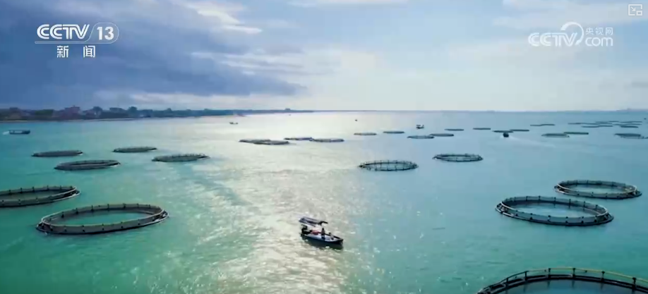 海洋场景开放从“点”到“面”多点开花海洋产业成为彰显我国国际竞争力重要领域(图7)