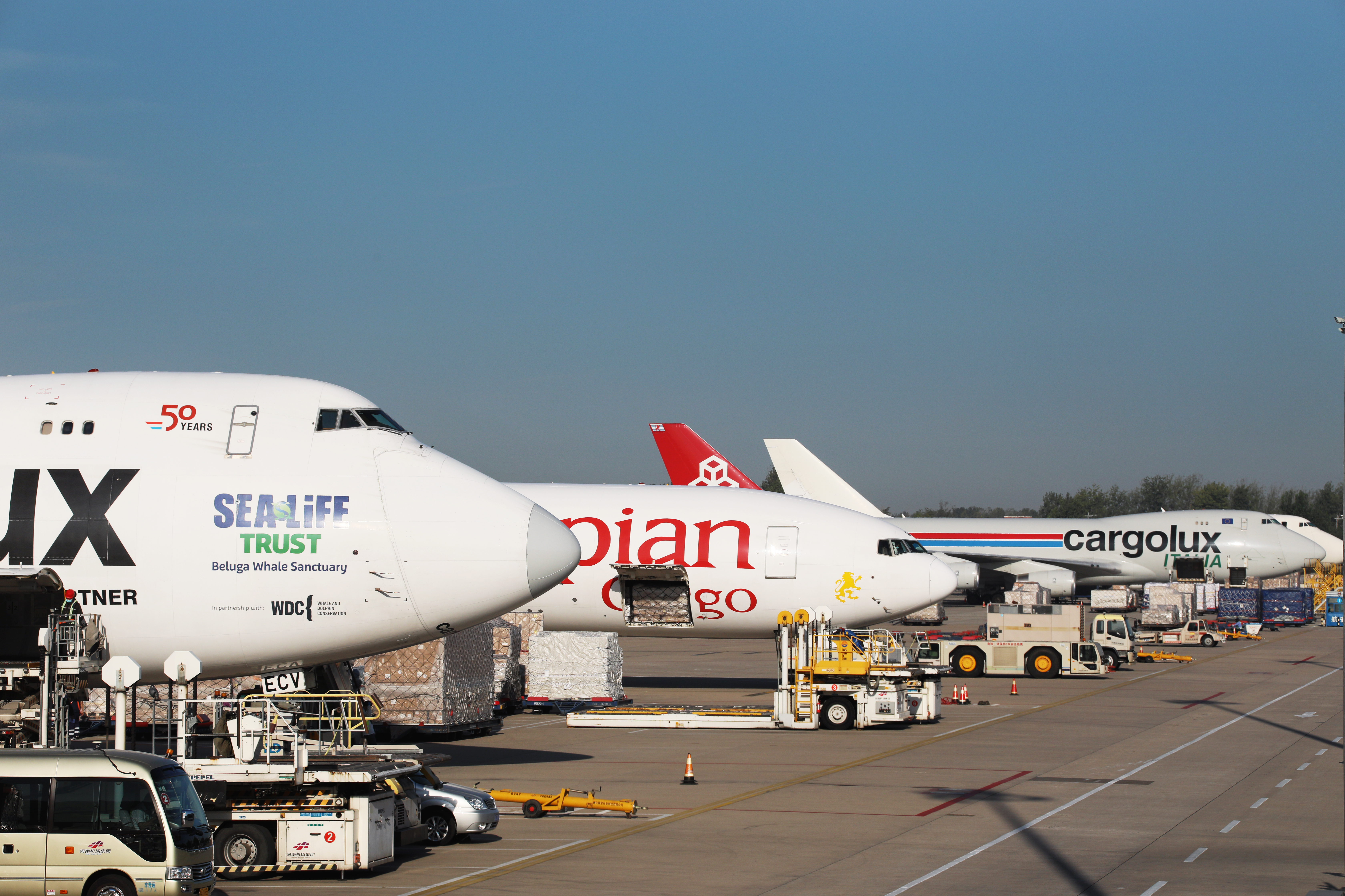 Im（中国体育）：“空中丝路”扩容增效(图1)