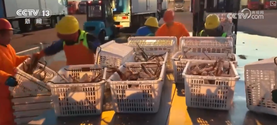 航空货运有“量”有“质”又智”从“秒筛”到“监护”航空物流装上智慧“加速器”(图11)