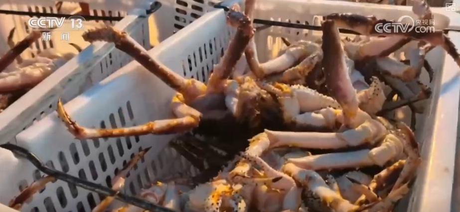 航空货运有“量”有“质”又智”从“秒筛”到“监护”航空物流装上智慧“加速器”(图15)