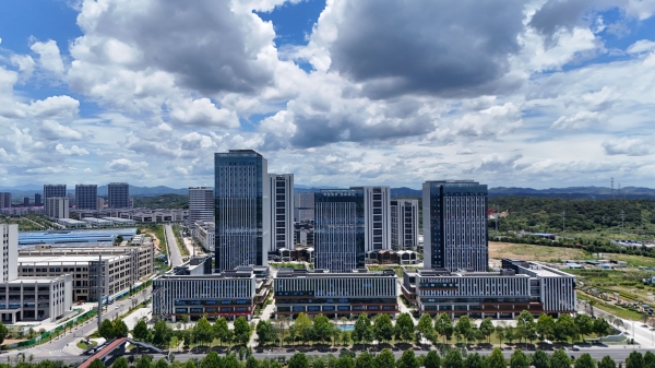 Im（中国体育）：非凡“十四五”｜向海图强风帆劲！岳阳临港高新区以高水平开放促高质量发展(图5)