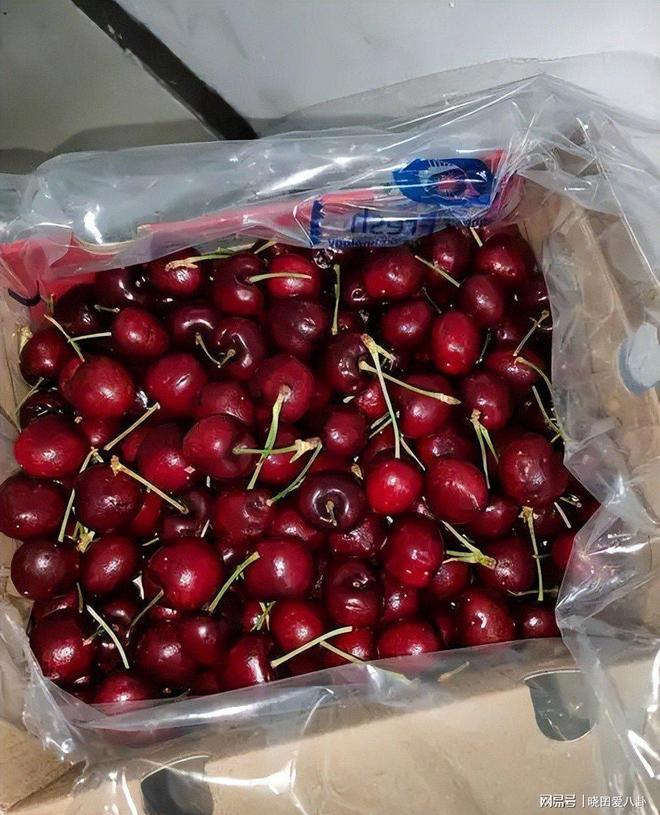 Im体育网站：从399元到19！车厘子价格断崖式下跌水果贵族怎么熄火了(图3)