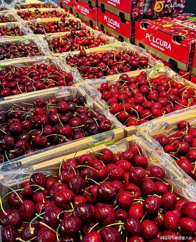 Im体育网站：从399元到19！车厘子价格断崖式下跌水果贵族怎么熄火了(图5)