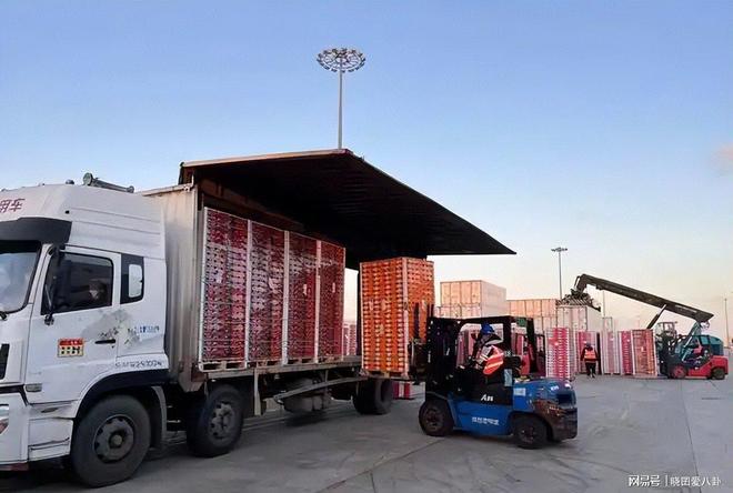 Im体育网站：从399元到19！车厘子价格断崖式下跌水果贵族怎么熄火了(图11)