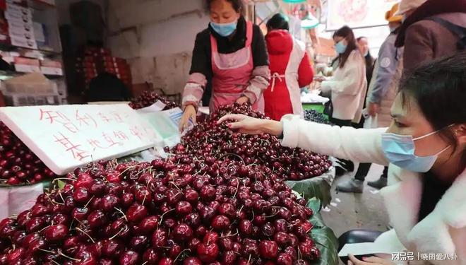 Im体育网站：从399元到19！车厘子价格断崖式下跌水果贵族怎么熄火了(图16)