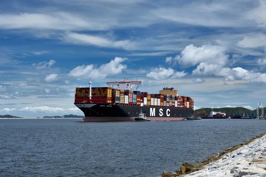 Im（中国体育）：聚焦又要涨！5月1日起多家船公司调涨至美国运费！(图1)