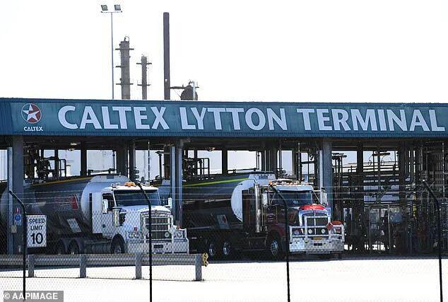 Im体育网站：“新冠20”时代来临！海运费暴涨澳生活必需品恐断货涨价(图2)