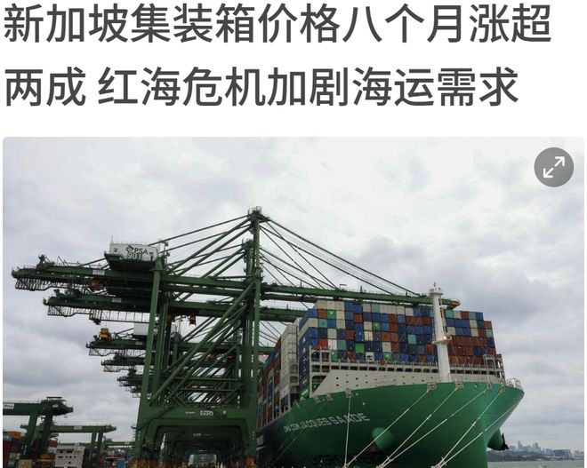 Im（中国体育）：新币汇率暴涨！中国到新加坡海运价格下跌！“千万别像我这样惨亏上千元”(图10)